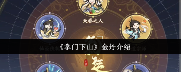 《掌门下山》金丹介绍